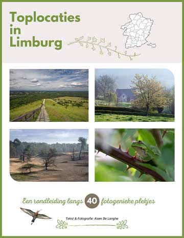 e-book Limburg