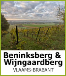 Beninksberg &wijngaardberg