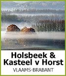 Holsbeek en kasteel van Horst
