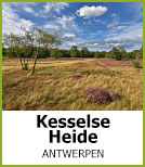 Kesselse Heide